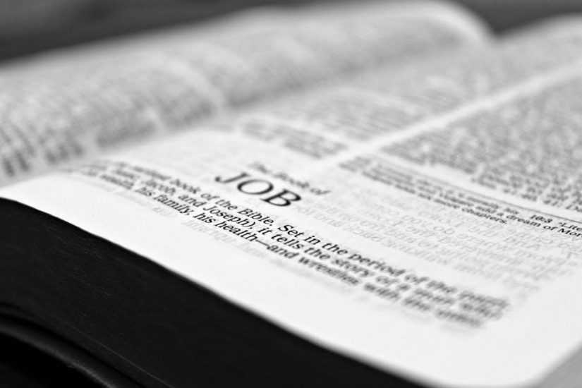 lsat bible pdf