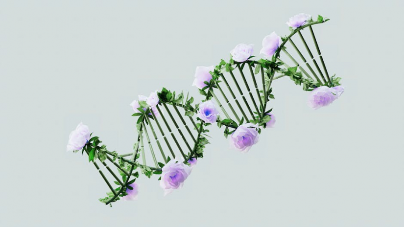 how life works: a user’s guide to the new biology