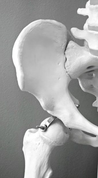 humerus bone anatomy pdf