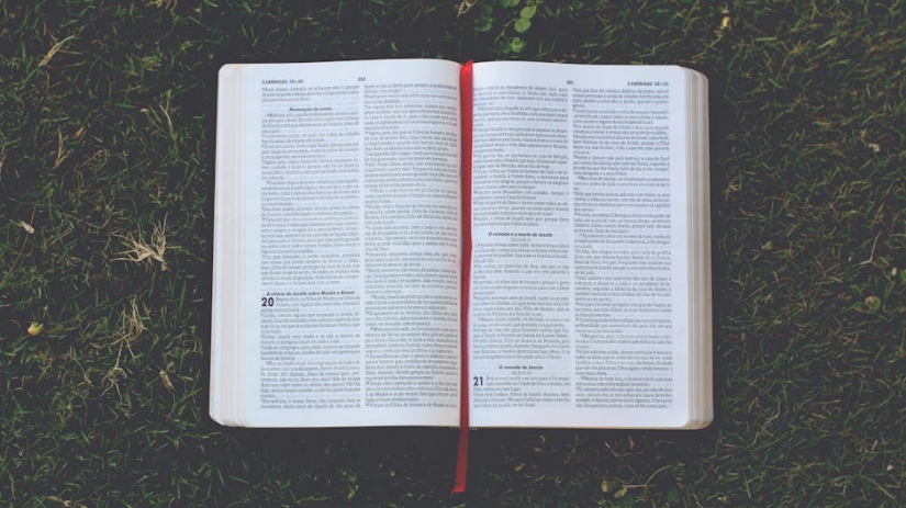 bible study guide for beginners pdf