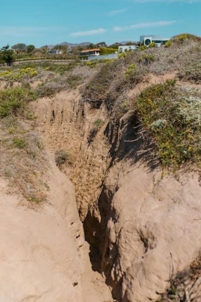 weathering and erosion worksheets pdf