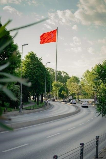 osceola turkey guides